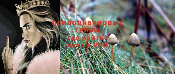 молекула духа Абинск