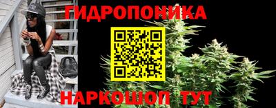 прущие грибы Малоярославец