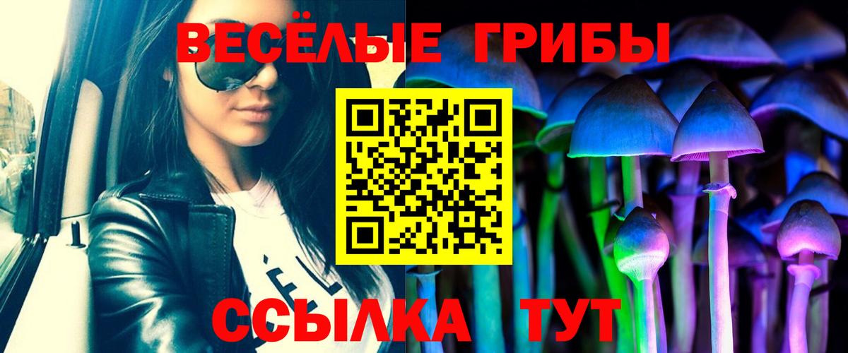 Псилоцибиновые грибы Psilocybine cubensis  Вход с VPN  наркота  Грозный 